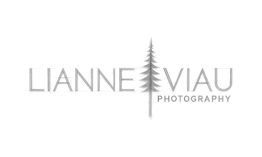 Lianne Viau Photography logo